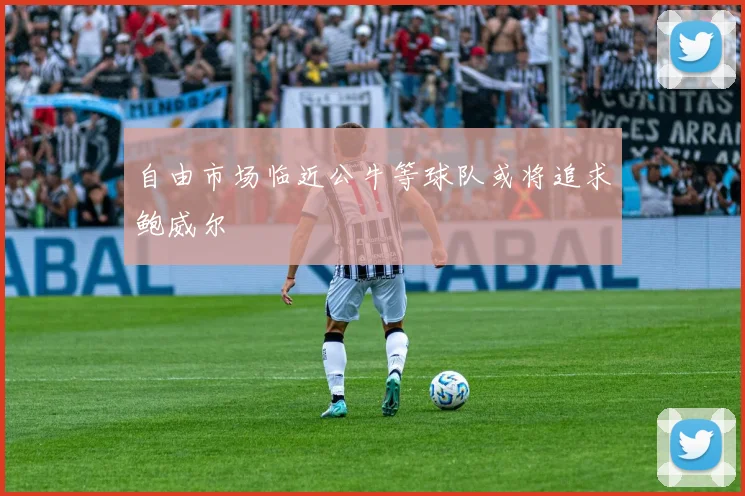 自由市场临近公牛等球队或将追求鲍威尔